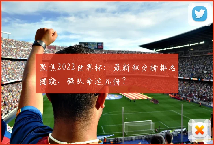 聚焦2022世界杯：最新积分榜排名揭晓，强队命运几何？