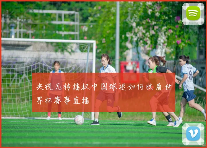 央视无转播权中国球迷如何收看世界杯赛事直播