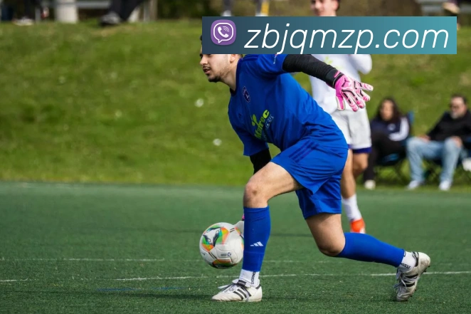 开云官方入口app平台生态图